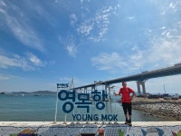 태안해변길 영목항 & 원산안면대교 산책 - 특별산행기 - 대한민국둘레길걷기 태안해변길 영목항 & 원산안면대교 산책
