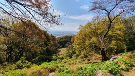 ♡계룡산둘레길 노성산길 탐방기 ♡ - 계룡산둘레길 - 대한민국둘레길걷기 ♡계룡산둘레길 노성산길 탐방기 ♡