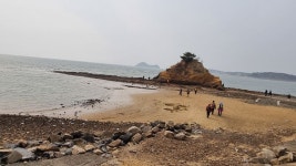 #태안 솔모랫길 걷기# - 우리들의 이야기 - 대한민국둘레길걷기 #태안 솔모랫길 걷기#