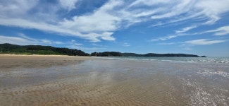 학암포 해수욕장 소풍/ 신두리 해수욕장 여름 풍경 - 특별산행기 - 대한민국둘레길걷기 학암포 해수욕장 소풍/ 신두리 해수욕장 여름 풍경