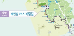 괴목정 소풍 산책 걷기 - 계룡산둘레길 - 대한민국둘레길걷기 괴목정 소풍 산책 걷기