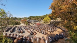 ♡계룡산둘레길 노성산길 탐방기 ♡ - 계룡산둘레길 - 대한민국둘레길걷기 ♡계룡산둘레길 노성산길 탐방기 ♡