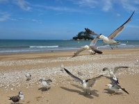태안해안국립공원 학암포 해수욕장 생생포토 탐방기 - 특별산행기 - 대한민국둘레길걷기 태안해안국립공원 학암포 해수욕장 생생포토 탐방기