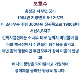 홍성 궁리 마을 소나무 보호수 생생포토 - 특별산행기 - 대한민국둘레길걷기 홍성 궁리 마을 소나무 보호수 생생포토