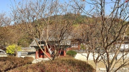 ♡계룡산둘레길 노성산길 탐방기 ♡ - 계룡산둘레길 - 대한민국둘레길걷기 ♡계룡산둘레길 노성산길 탐방기 ♡