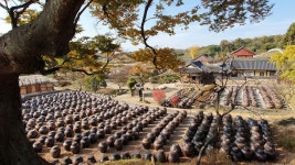 ♡계룡산둘레길 노성산길 탐방기 ♡ - 계룡산둘레길 - 대한민국둘레길걷기 ♡계룡산둘레길 노성산길 탐방기 ♡
