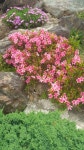 ♡지리산둘레길 방광~산동 탐방 1편♡ - 지리산둘레길걷기 - 대한민국둘레길걷기 ♡지리산둘레길 방광~산동 탐방 1편♡