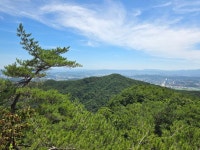 계룡산둘레길 금수봉 정상석 세움 생생포토 풍경 - 계룡산둘레길 - 대한민국둘레길걷기 계룡산둘레길 금수봉 정상석 세움 생생포토 풍경