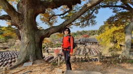♡계룡산둘레길 노성산길 탐방기 ♡ - 계룡산둘레길 - 대한민국둘레길걷기 ♡계룡산둘레길 노성산길 탐방기 ♡