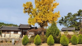 ♡계룡산둘레길 노성산길 탐방기 ♡ - 계룡산둘레길 - 대한민국둘레길걷기 ♡계룡산둘레길 노성산길 탐방기 ♡