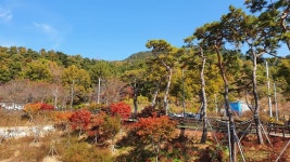 ♡계룡산둘레길 노성산길 탐방기 ♡ - 계룡산둘레길 - 대한민국둘레길걷기 ♡계룡산둘레길 노성산길 탐방기 ♡