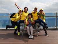 10/14(월) 교1동 어르신과 함께 하는 명품 나들이 사업 - 교1동 명품나들이 사업 - 강릉시 교1동 사무소 10/14(월) 교1동 어르신과 함께 하는... 
