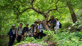 2024년 5월 11일 겨울숲바라보기 10주년 기념산행 및 제 10 기 겨울숲 다시보기 - 2023년~2024년(10기) - 겨울숲바라보기 2024년 5월 11일... 