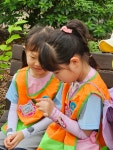 🌳6월 4주 올데이 숲 체험활동(어린이대공원)🌳 - 슬기반 - 한누리유치원 🌳6월 4주 올데이 숲 체험활동(어린이대공원)🌳