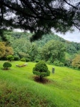 벌초했습니다. - ♣☞ 안산소종 사진방 - 문화류씨 충경공파 송암공 안산소종회 벌초했습니다.