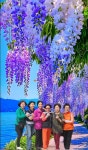 🇰🇷대한민국 고엽제전우회 김해시지회 전적지순례 - 행사후기/사진방 - 박재승* 🇰🇷대한민국 고엽제전우회 김해시지회 전적지순례