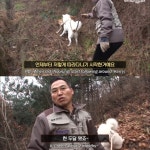 [TV 동물농장] 산 속 누렁이의 짝사랑 - 악플달면 쩌리쩌려버려 - ＊여성시대＊ 차분한 20대들의 알흠다운 공간 [TV 동물농장] 산 속 누렁이의... 