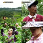 [다문화 고부열전] 며늘아~ 울 둘째 아들 장가 좀 보내줘 - 악플달면... 알흠다운 공간 [다문화 고부열전] 며늘아~ 울 둘째 아들 장가 좀 보내줘