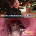 [TV 동물농장] 공공칠빵 잘하는 길고양이 - 악플달면 쩌리쩌려버려 - ＊여성시대＊ 차분한 20대들의 알흠다운 공간 [TV 동물농장] 공공칠빵... 