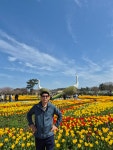 2026년 튜률립 축제(서산 한우 목장2차 방문 - 카페 앨범 - 강서 우정산악회 2026년 튜률립 축제(서산 한우 목장2차 방문