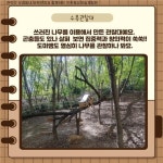 관악구 우리동네 보육반장이 알려주는 유아숲체험원 #3 인헌동유아숲체험원 - 관악구 육아지원코디네이터가 알려주는 유아숲체험원 - 관악... 