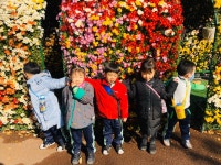 💚 수목원에 다녀왔어요 ~~ 2번째 사진입니다 💚 - 룸비니반 추억 - ♥원만사유치원♥ 💚 수목원에 다녀왔어요 ~~ 2번째 사진입니다 💚