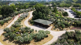 안산 무궁화동산 안산12경 주 11경 선정 - 포토 뉴스 - 실버뉴스티비 안산 무궁화동산 안산12경 주 11경 선정