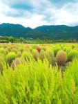 양산 물금 낙동강변에서. - 취미.여행 - 남원대강초등학교 총동문회 양산 물금 낙동강변에서.