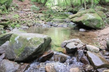 [원주] 매지순환둘레길(8/9 토요일) - ♣ 여행일정 & 신청 ♣ - 걷기여행 트렉매니아 [원주] 매지순환둘레길(8/9 토요일)
