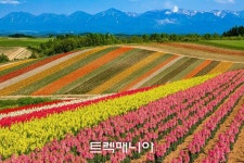 [3박4일] 북해도 대설산 야생화 트레킹(7/4 토요일) - ♣ 여행일정... 걷기여행 트렉매니아 [3박4일] 북해도 대설산 야생화 트레킹(7/4 토요일)