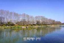 [출발-담양] 금성산성길과 관방제림 벚꽃(3/28 토요일) - ♣ 여행일정... 걷기여행 트렉매니아 [출발-담양] 금성산성길과 관방제림 벚꽃(3/28 토요일)