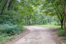 [원주] 매지순환둘레길(8/9 토요일) - ♣ 여행일정 & 신청 ♣ - 걷기여행 트렉매니아 [원주] 매지순환둘레길(8/9 토요일)