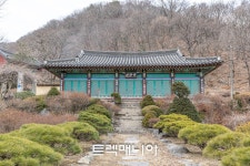 [출발-남양주] 다산 4길과 세정사계곡 야생화(3/22 일요일) - ♣ 여행일정 & 신청 ♣ - 걷기여행 트렉매니아 [출발-남양주] 다산 4길과... 