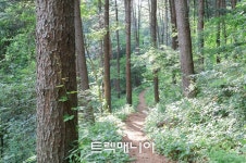 [원주] 매지순환둘레길(8/9 토요일) - ♣ 여행일정 & 신청 ♣ - 걷기여행 트렉매니아 [원주] 매지순환둘레길(8/9 토요일)