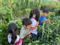고추 수확하고 왔어요~🌶️🧑🌾 - 2025년 화평반 - 열매 몬테소리어린이집 고추 수확하고 왔어요~🌶️🧑‍🌾