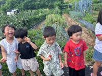 고추 수확하고 왔어요~🌶️🧑🌾 - 2025년 화평반 - 열매 몬테소리어린이집 고추 수확하고 왔어요~🌶️🧑‍🌾