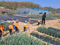 기쁨.온유-농장체험 - 2026년 열매 통합 소식 - 열매 몬테소리어린이집 기쁨.온유-농장체험