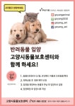 고양시동물보호센터 입양절차 안내드립니다. - 입양 캠페인 - 반려온뜰 고양시동물보호센터 입양절차 안내드립니다.