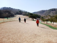 OK 그린파크골프장 - 자유게시판 - 충청북도 파크골프협회 OK 그린파크골프장