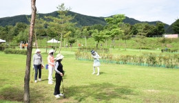 참가기 2차 - 전국대회 - 충청북도 파크골프협회 참가기 2차