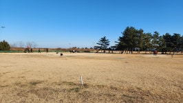 동해망상파크골프장 + 무릉파크골프장 - 자유게시판 - 충청북도 파크골프협회 동해망상파크골프장 + 무릉파크골프장