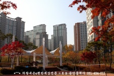 인덕원 자이 sk뷰 미계약반도보라빌리지, 의왕내손이편한세상 & 이편한세상 인덕원 더퍼스트,인덕원 병원 임대,사당 병원 임대,소아과 임 - Q&A... 