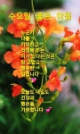 인생 끝까지 같이 갈 백년친구 - ‥‥공유 ♡ 좋은글 - 향기있는 좋은글 인생 끝까지 같이 갈 