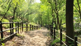 이번달 다섯째주 일요일(6월 29일) 수락산 석림사 계곡 번개산행 공지 - ▒☞ 원정 벙개 공지 - 서울 우리들 도보여행 이번달 다섯째주 일요일... 