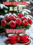 12월 27일 토요일 출석부 - 출석도장 꾸욱 - 꽃섬농원 12월 27일 토요일 출석부