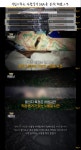 신정동 살인사건과 동일범? 노들길 살인사건 (그것이 알고싶다) - 삭제게시판 - 樂 SOCCER 신정동... 