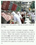 치킨 값 비싼 이유 있었네....하림 등 4개 종계 사업자 담합 적발 - 웃긴자료 ‥‥‥‥‥、 - 도탁스 (DOTAX) 치킨 값 비싼 이유 있었네....하림 등... 