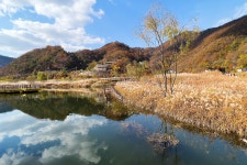 수양공원 약수터 급수시설 | 수양개 생태공원 - 모닝커피 사진갤러리 - 모닝커피갤러리 수양개 생태공원