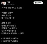 단감과 떫은 감은 다른 곳에서 관리합니다. - [이슈] 목욕탕 정보통 - 우리 동네 목욕탕 단감과 떫은 감은 다른 곳에서 관리합니다.