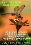 고마운 인연 - ♅~자유 게시판 - 오빠 친구들 고마운 인연